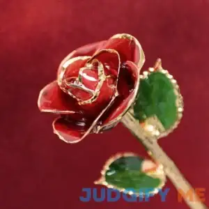 Valentines Day Red 24k Gold Dipped Rose - Steven Singer Jewelers - Valentine's Flower Gifts