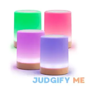 Friendship Lamp LuvLink