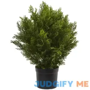 Nearly Natural 6880 (Indoor/Outdoor) 2' Cedar Artificial Bush