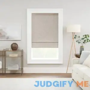 Eclipse Blackout Cordless Roman Shade