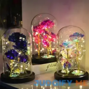 Exclusive Triple LED Rose In Glass Dome New 2024