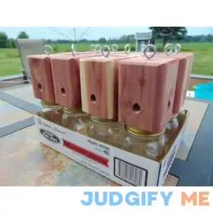 12-Carpenter Bore- Bee - traps