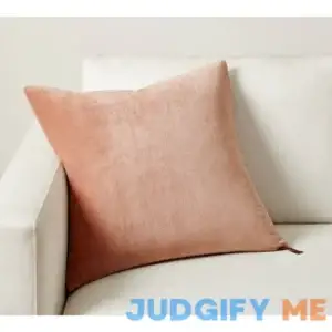 Pottery Barn Everywhere Velvet Pillow & Down Insert Bundle