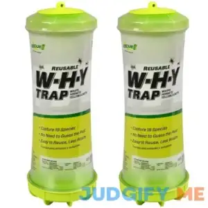 Wasps Hornets Yellow jackets and Hornets Why Trap