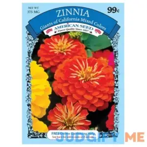American Seed 375mg Zinna Giants of California Mixed Colors Flower Seeds Full Sun