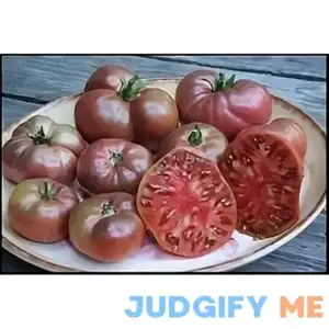 Tomato Cherokee Purple Great Garden Heirloom Vegetable Seeds by Seed Kingdom 50 Seeds