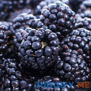 Brighter Blooms Thornless Blackberry