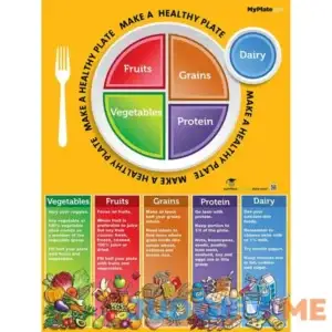 MyPlate Poster All About My Plate