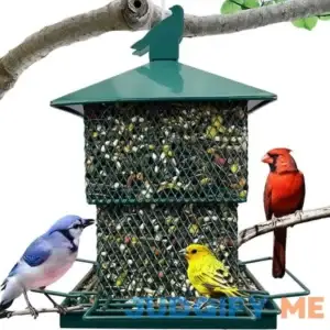 Bird Feeders for Outdoors Hanging