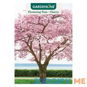 Gardenline Flowering Cherry Tree
