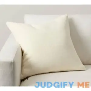 Pottery Barn Everyday Linen Pillow & Down Insert Bundle