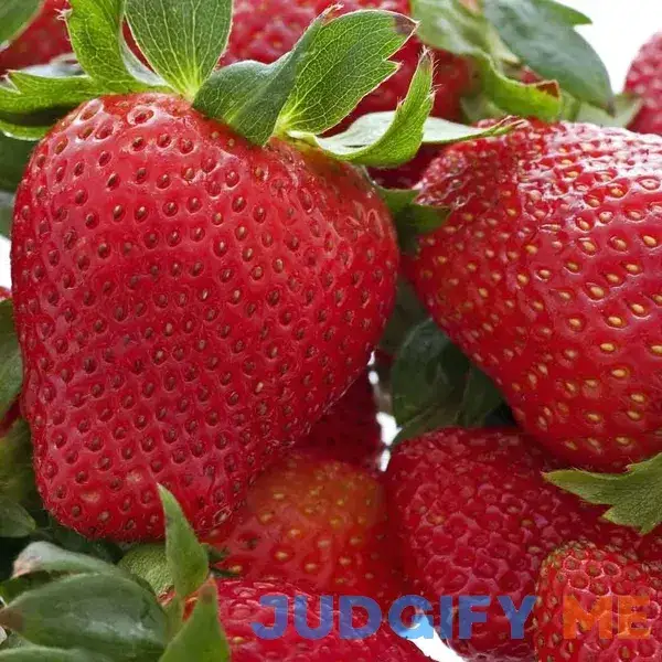 50 Strawberry Plants Honeoye -Organically Grown (Bundle of 50 Bare Root)High-Yielding 50 Strawberry Plants Honeoye -Organically Grown (Bundle of 50 Bare Root)High-Yielding