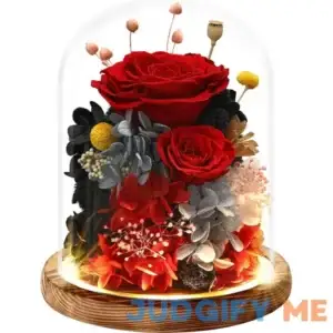Preserved Real Flowers Gifts for Her
