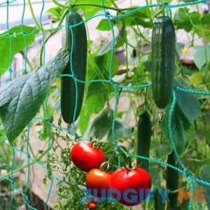 Miuezuth Trellis Netting for Climbing Plants Heavy Duty Garden Trellis for Cucumber
