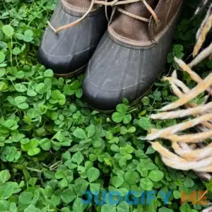 Micro Clover Seeds for Lawn Microclover Seed for Planting Seeds