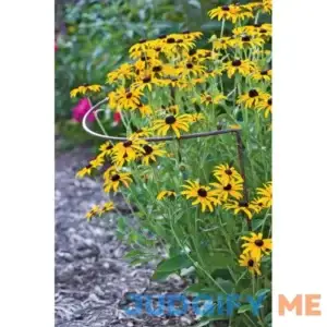 Gardener's Supply Company Jardin Half-Round Supports