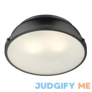 Birch Laneв„ў Calico 2 Light Steel Flush Mount Shade