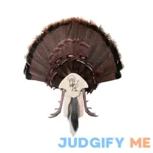 Turkey tail & wing mount-turkey fan mount-turkey fan holder-turkey fan plaque-turkey fan display
