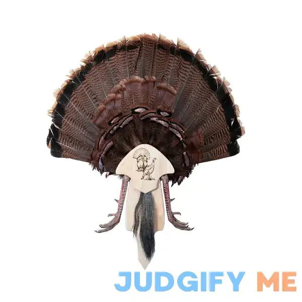 Turkey tail & wing mount-turkey fan mount-turkey fan holder-turkey fan plaque-turkey fan display Turkey tail & wing mount-turkey fan mount-turkey fan holder-turkey fan plaque-turkey fan display
