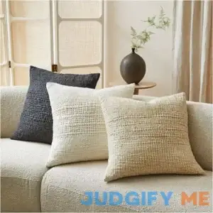 West Elm Cozy Weave PC 24x24 Down Pillow Insert