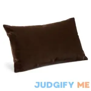 Room & Board Modern Throw Pillow Down Insert