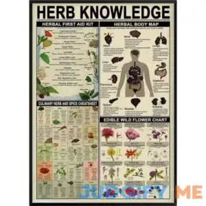 Herb Knowledge Metal Tin Sign Herbal First Aid Kit And Body Map And Edible Wild Flower Chart Wallart Artwork Poster School Office Farm People Cave
