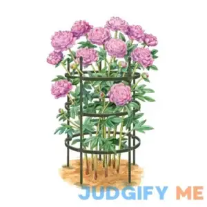 Gardener's Supply Company Titan Peony Supports