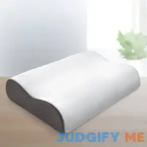 Sleep Number True Temp Pillow