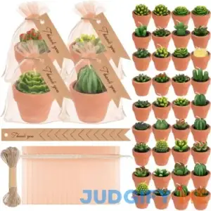 MTLEE 36 Pcs Succulent Candles Decorative Cactus Tealight Candle Tea Lights Handmade Baby Shower Candle Decorations Plant Candle with Mini