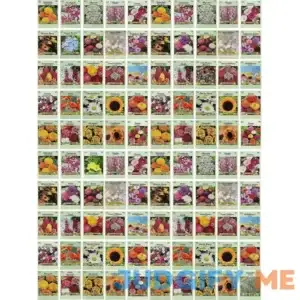 Black Duck Brand Set of 100 Flower Seed Packets! Flower Seeds in Bulk - Best Value Seeds - Great for Classrooms