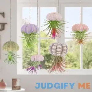 RUMIA 6PCS Hanging Air Plants Holders/Stand Mini Sea Urchin Shell Decorative Tillandsiat Succulent Holders Air Plant Display Container for Home