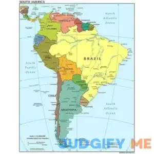 Iconic Arts Laminated 24 inchx31 inch Poster: Detailed Political map of South America with Capitals and Major Cities