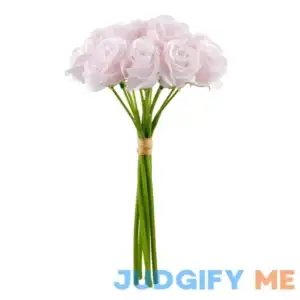 Rose Bundle by Ashland