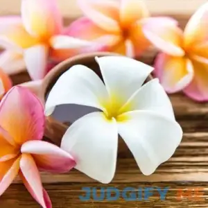 euxk Fast Growing Trees 3 Gallon Plumeria Plant