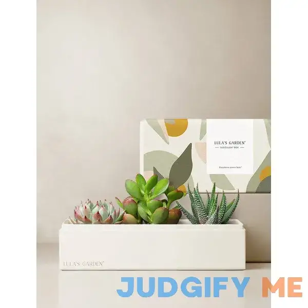 Jewel Garden | Succulent Gift Box By Lula's Garden | Succulent Gift Delivery | Lula's Garden Jewel Garden | Succulent Gift Box By Lula's Garden | Succulent Gift Delivery | Lula's Garden