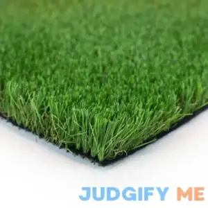 Fescue Multipurpose 12 ft. Wide x Cut to Length Green Artificial Grass Turf