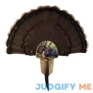 Walnut Hollow Country Turkey Fan Mount & Display Kit