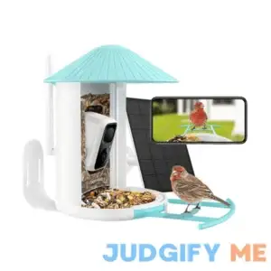 Birdfy Feeder with Solar Panel