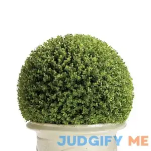 Boxwood Greenery Balls - 15" - Frontgate