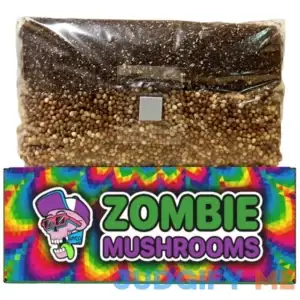 All in One Mushroom Grow Bag