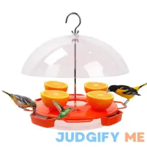 Solution4Patio Baltimore Oriole Feeder Hummingbird Combination 3 Types Food