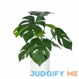 Mainstays Artificial Plastic Monstera Plant with Ceramic Pot