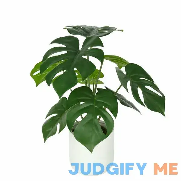 Mainstays Artificial Plastic Monstera Plant with Ceramic Pot Mainstays Artificial Plastic Monstera Plant with Ceramic Pot