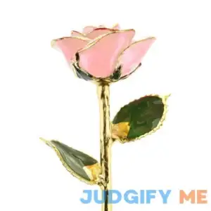 I Love You 24kt Gold Dipped Rose - Steven Singer Jewelers - Valentine's Flower Gifts