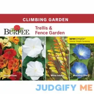 Burpee Trellis & Fence Garden Starter Garden Flower Seed Collection