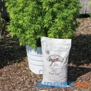 Vermont Compost Company Fort Vee Potting Mix