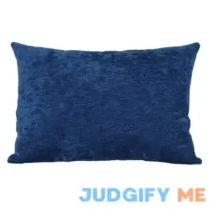 At Home Reese Chenille Throw Pillow