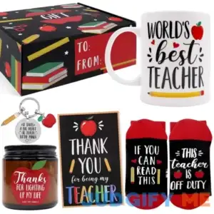 Best Teacher Gift Set for Women Teacher Appreciation Gifts from Student Thank You Teacher Gifts Basket Daycare Teacher Gifts with Key Chain Mug