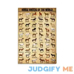 HAOSHIFA Horse Poster Horse Painting Horse Knowledge Horse Breeds of The World Poster Unframed 12x18inches