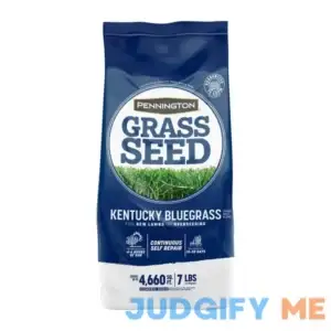 Pennington Kentucky Bluegrass Grass Seed Northern Lawns